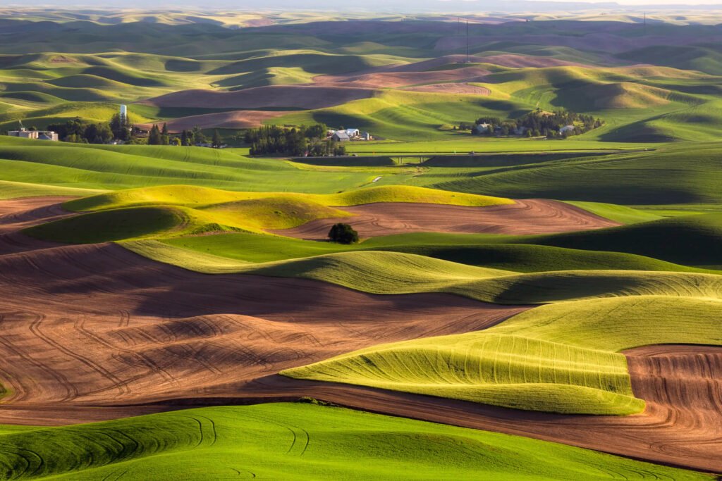 Rolling wheat hills in the Palouse Washington State - hidden gems USA