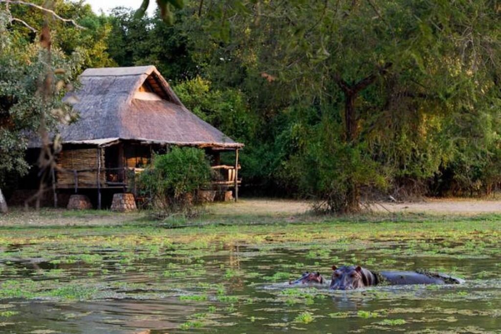 Mfuwe Lodge in South Luangwa National Park, Zambia