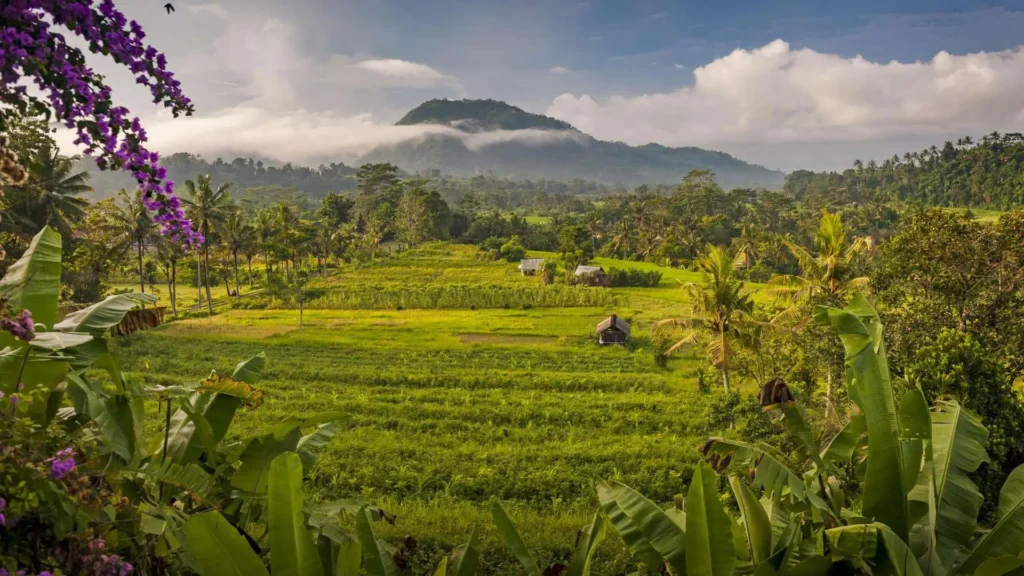 Rice fields and mountain scenery in Sidemen Valley, Bali