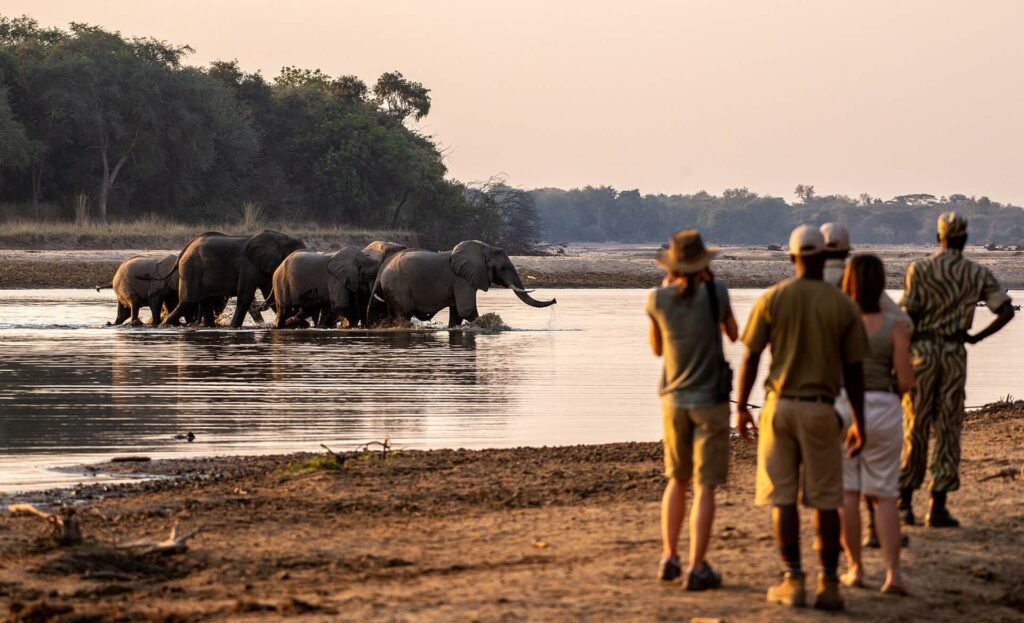 Wildlife safari landscape in South Luangwa National Park, Zambia