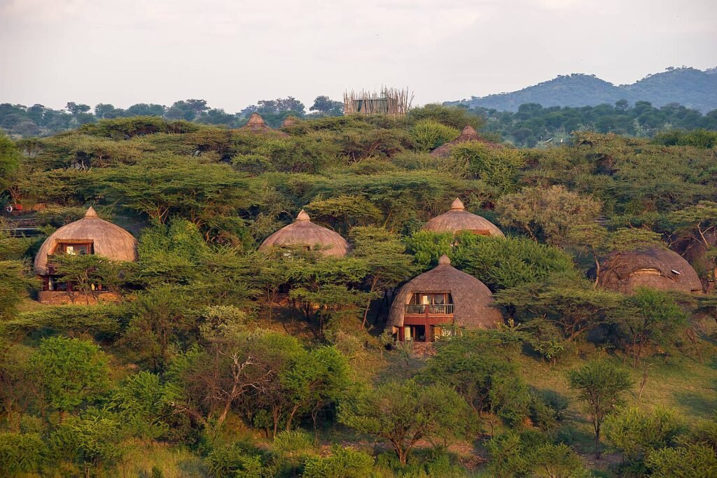 Budget lodge safari Africa — affordable thatched safari lodges in an African national park