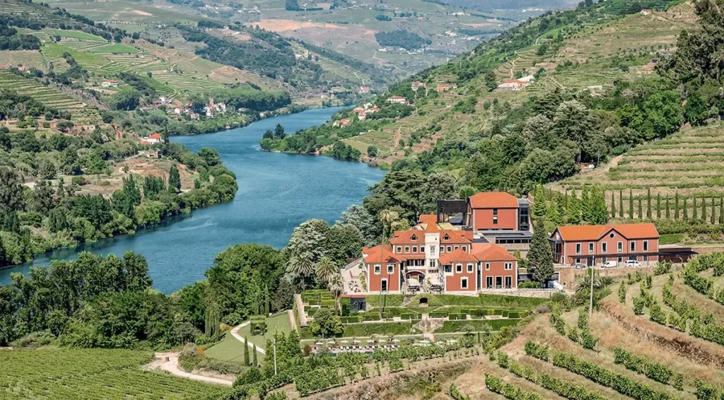 Terraced vineyards in Portugal's Douro Valley