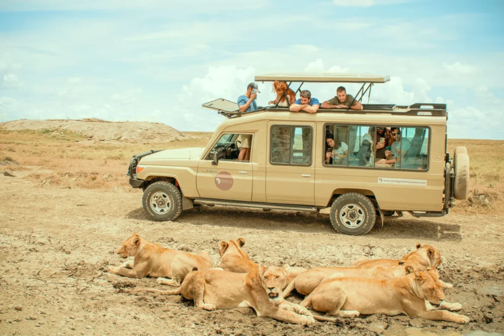 Budget safari Africa group camping game drive with lions — a classic budget safari Africa experience