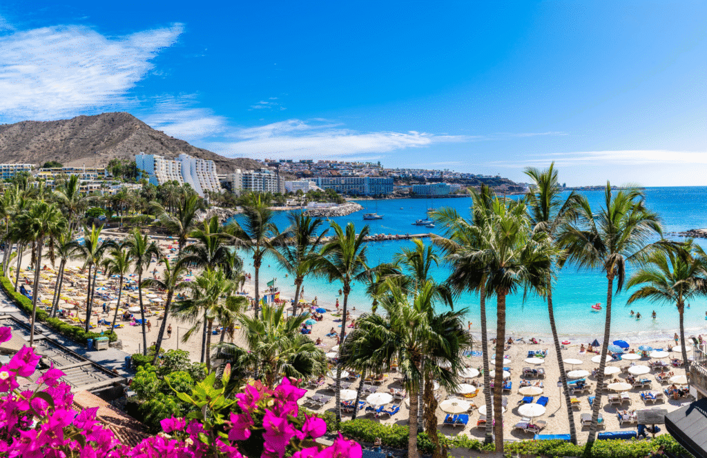 Beach resort with palm trees in Las Palmas, Gran Canaria