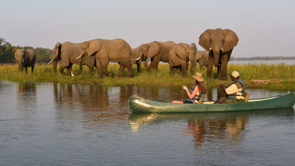 Canoe safari on the Lower Zambezi in Zambia