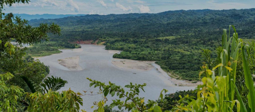 Amazon rainforest landscape in Manu National Park, Peru