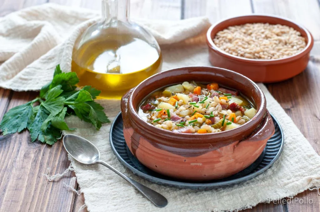 Italian vegetable and barley soup for vegetarian travelers
