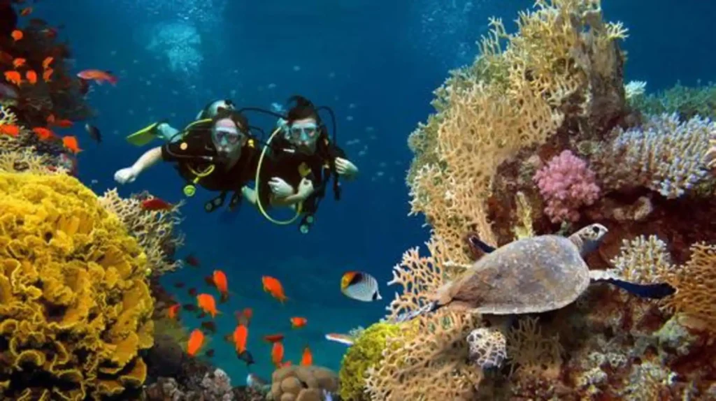 Diving on coral reefs near Tofo and Barra Beach, Mozambique